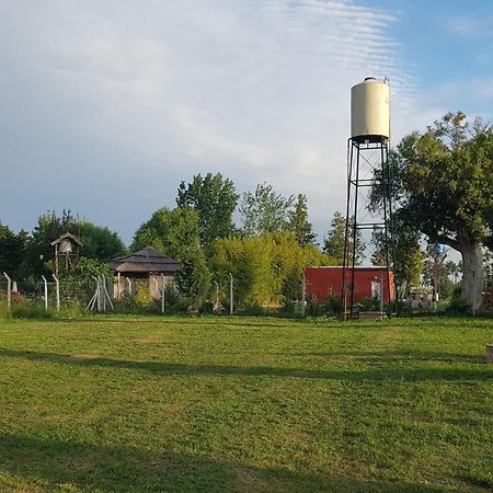 Terrabox Apart De Contenedores Olivera Chambre photo